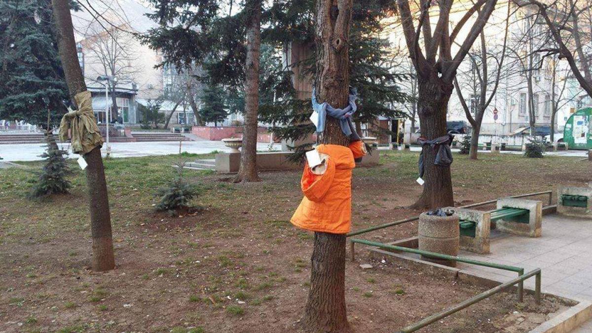 au iesit pe strada si au vazut ceva uimitor de ce erau toti copacii imbracati cu haine