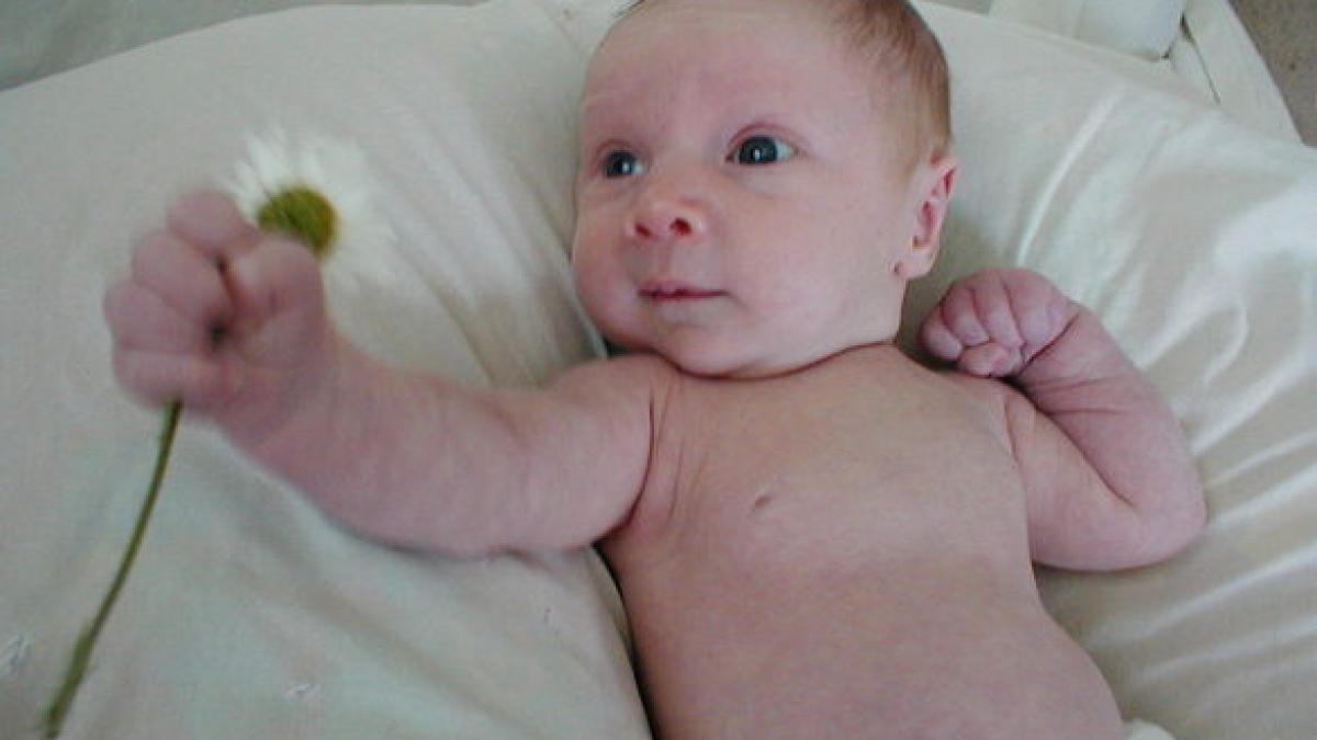 le au spus sa si ia bebelusul ca sa moara acasa apoi au intrat pe internet si au facut o