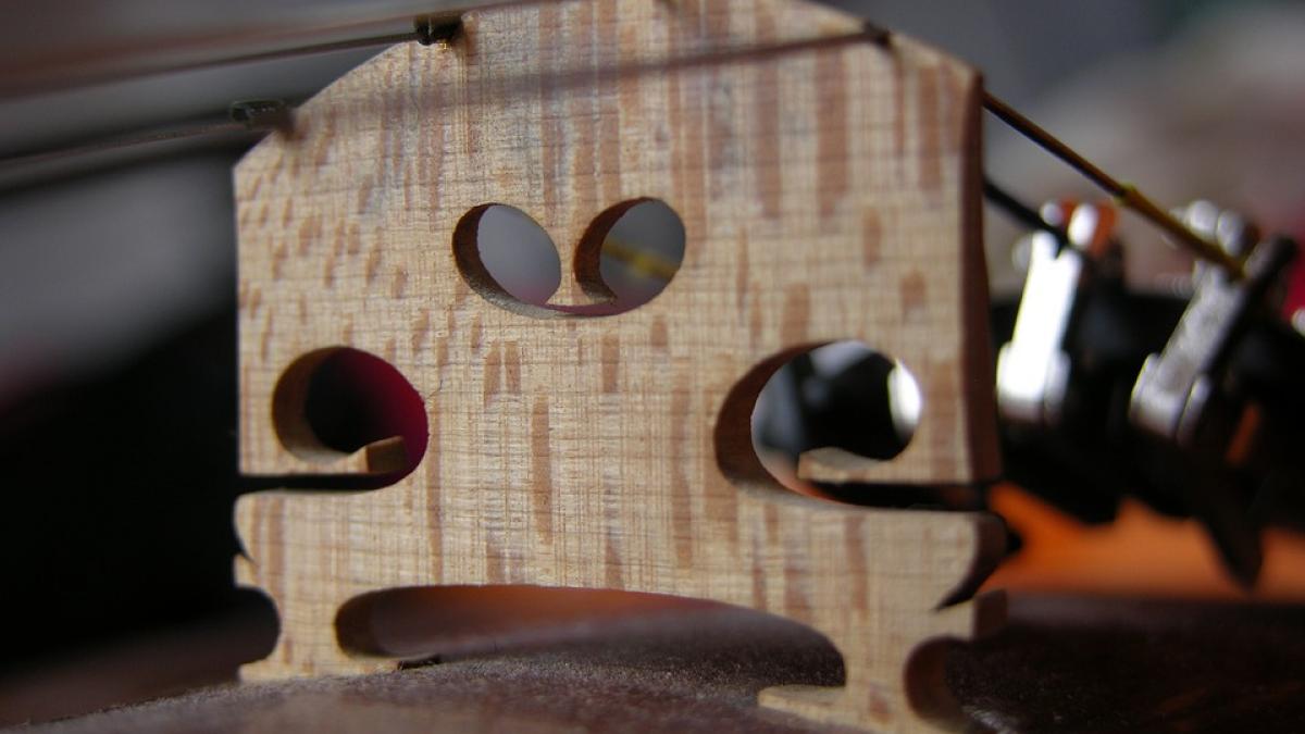 vioara stradivarius uitata in tren