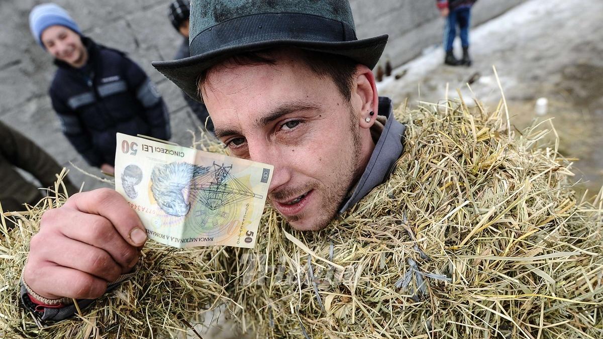 zece ursi liberi pe ulitele unei comune sibiene