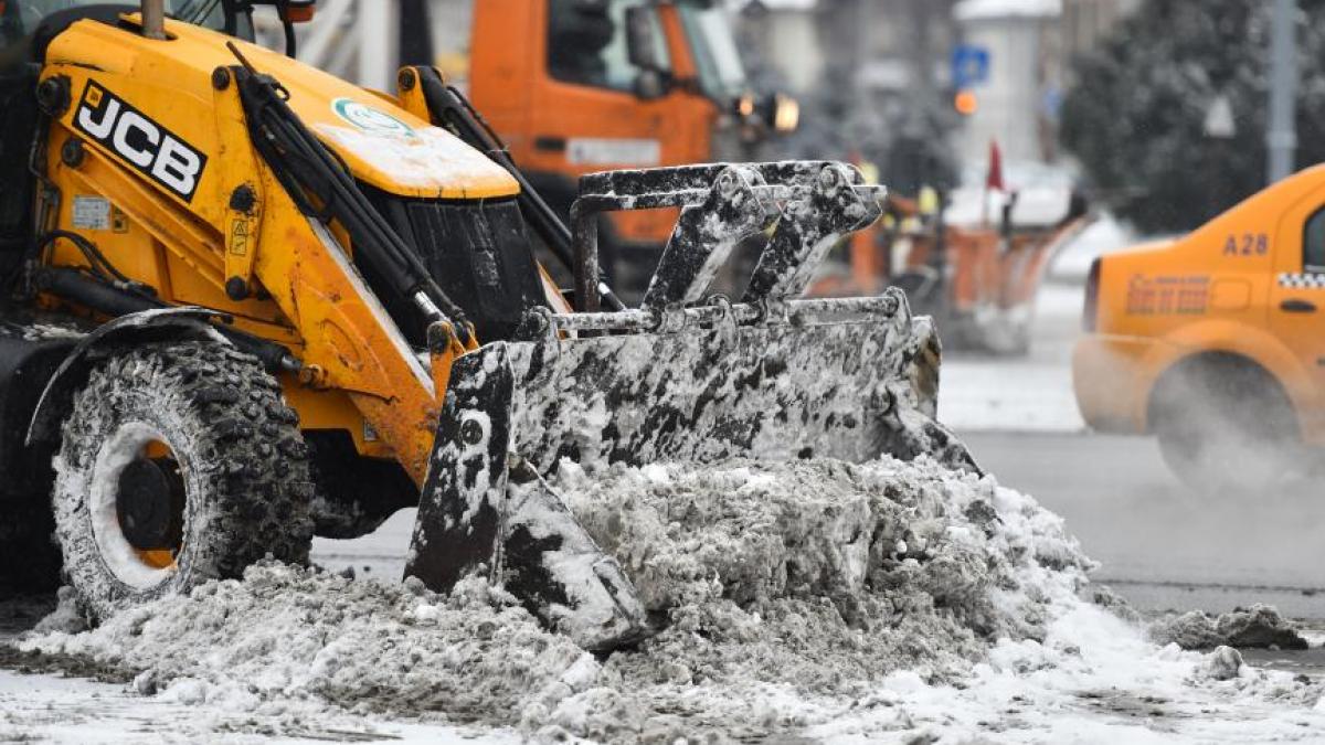 amenzi firme deszapezire bucuresti