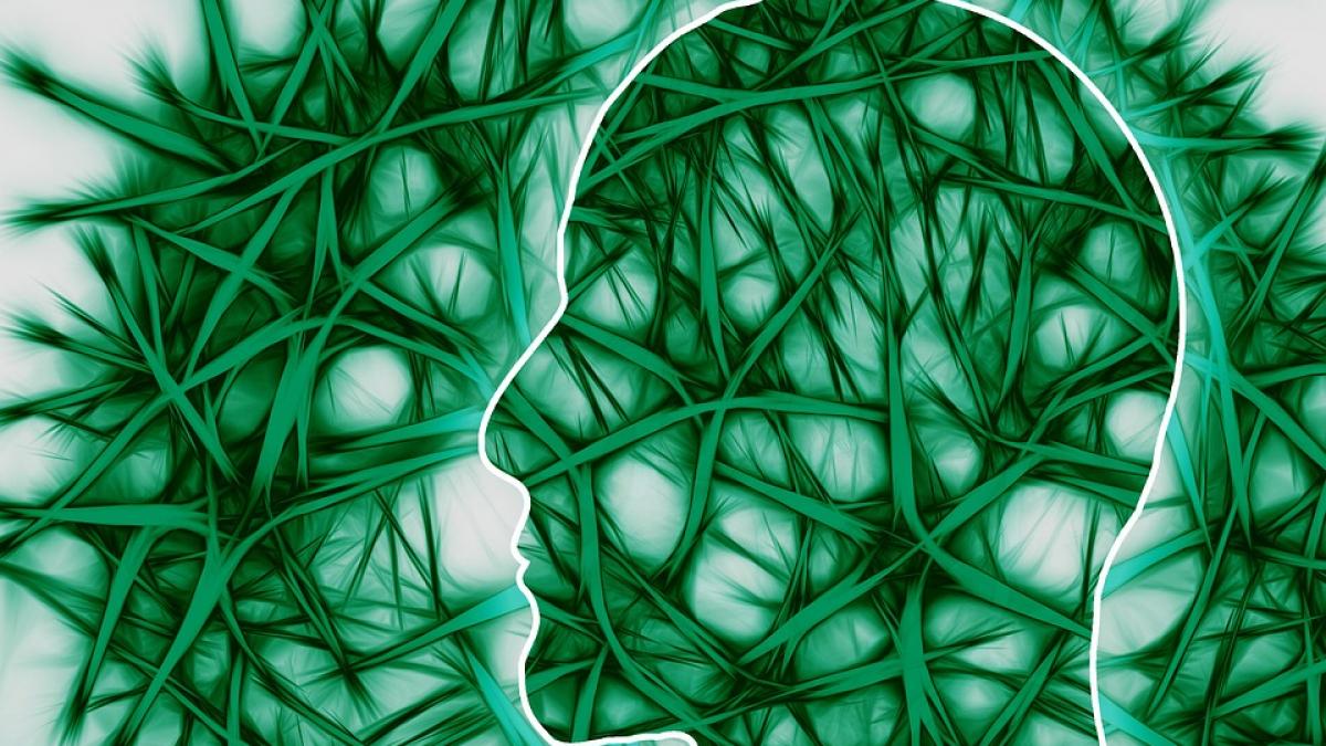 tratament leucemie copil medic transplant