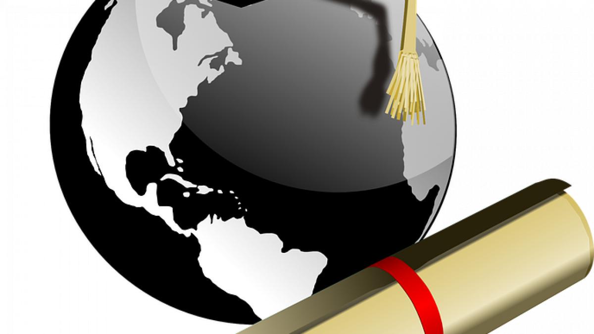 adrian curaj schimbari doctorate