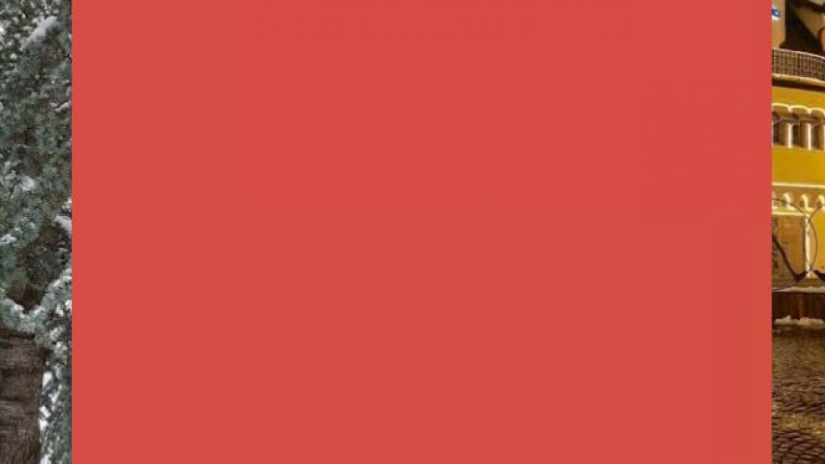 imaginile surprinzatoare postate de valentina pelinel pe facebook