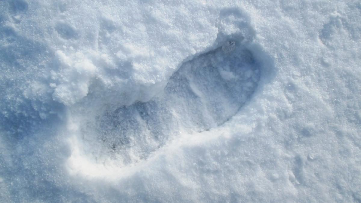 infractor colorado politisti zapada spargeri