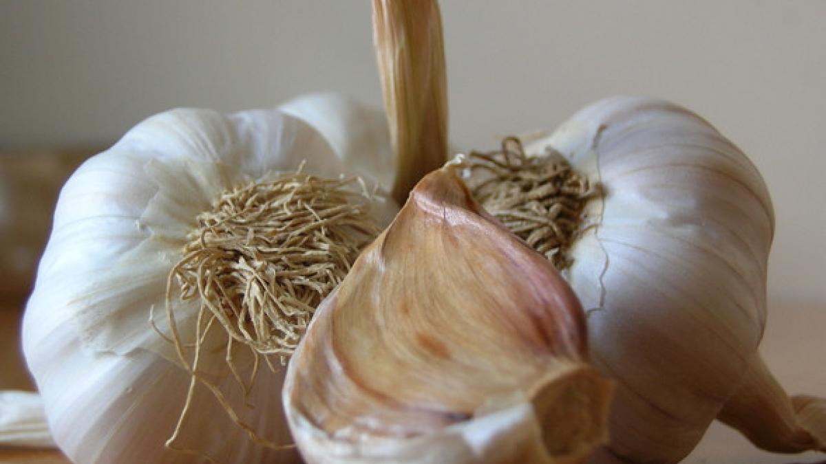 alimentele minune ce se intampla cu creierul tau daca mananci kefir sau usturoi