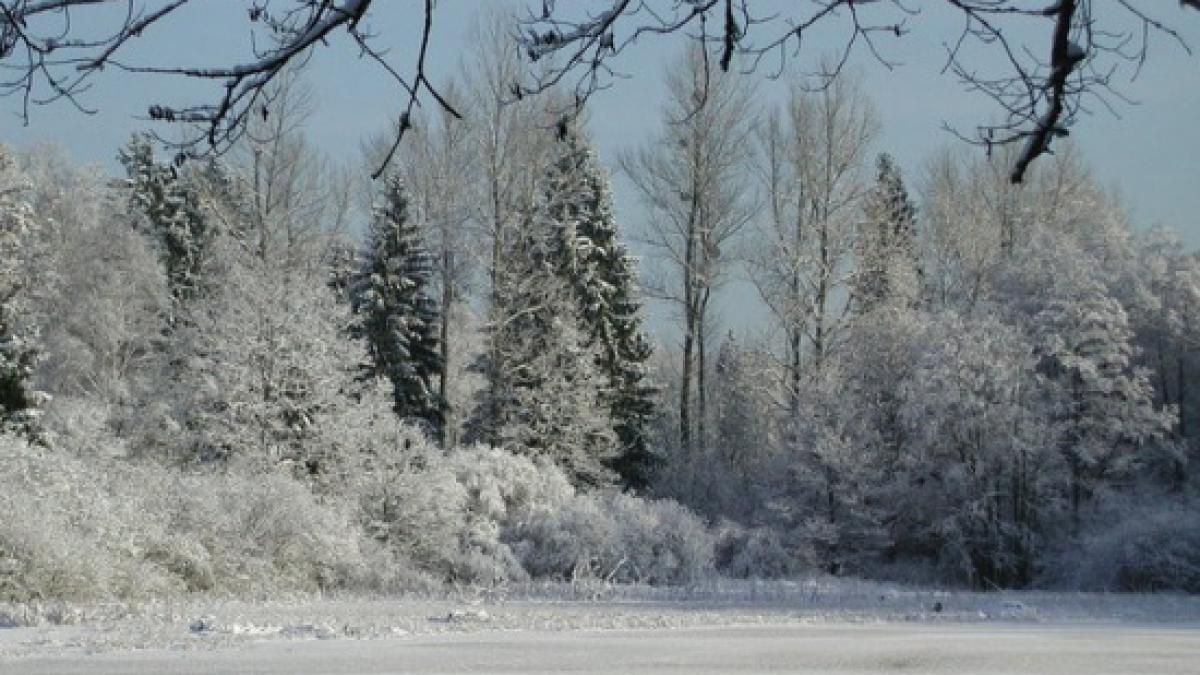 vremea prognoza meteo iarna