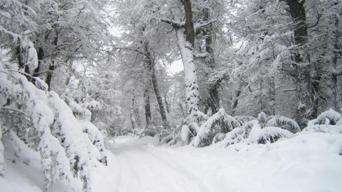 iarna se intoarce in forta meteorologii au emis avertizare de viscol si ninsori abundente