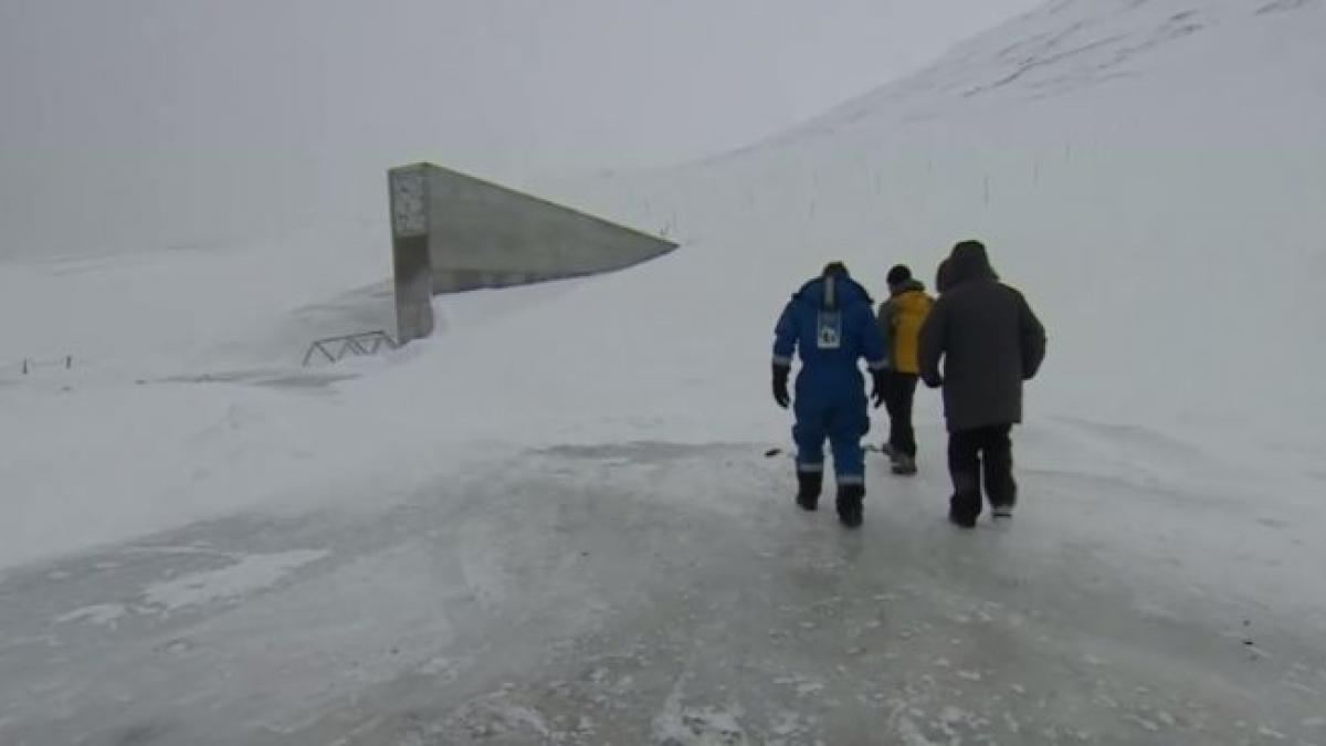 catastrofa rezerva de seminte