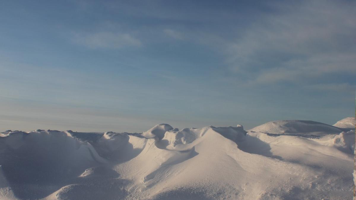 ipoteza uluitoare o populatie antica a cucerit arctica in urma cu cel putin 45 000 de ani
