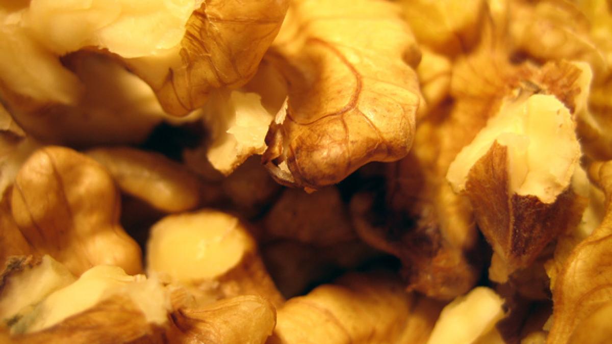 un roman a reusit sa fure doua tone de miez de nuca de la compania la care lucra