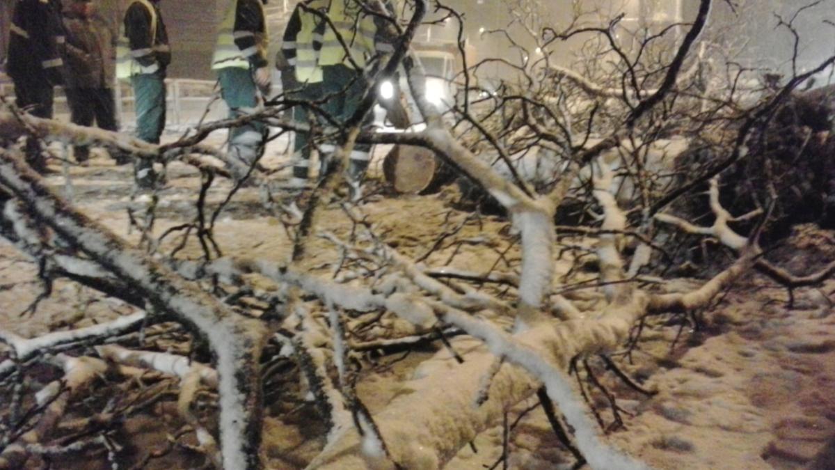 copac turda sens pod grant