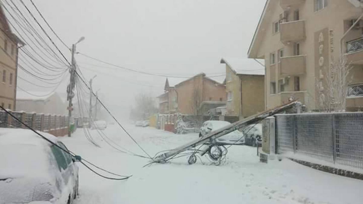 deszapezire bucuresti