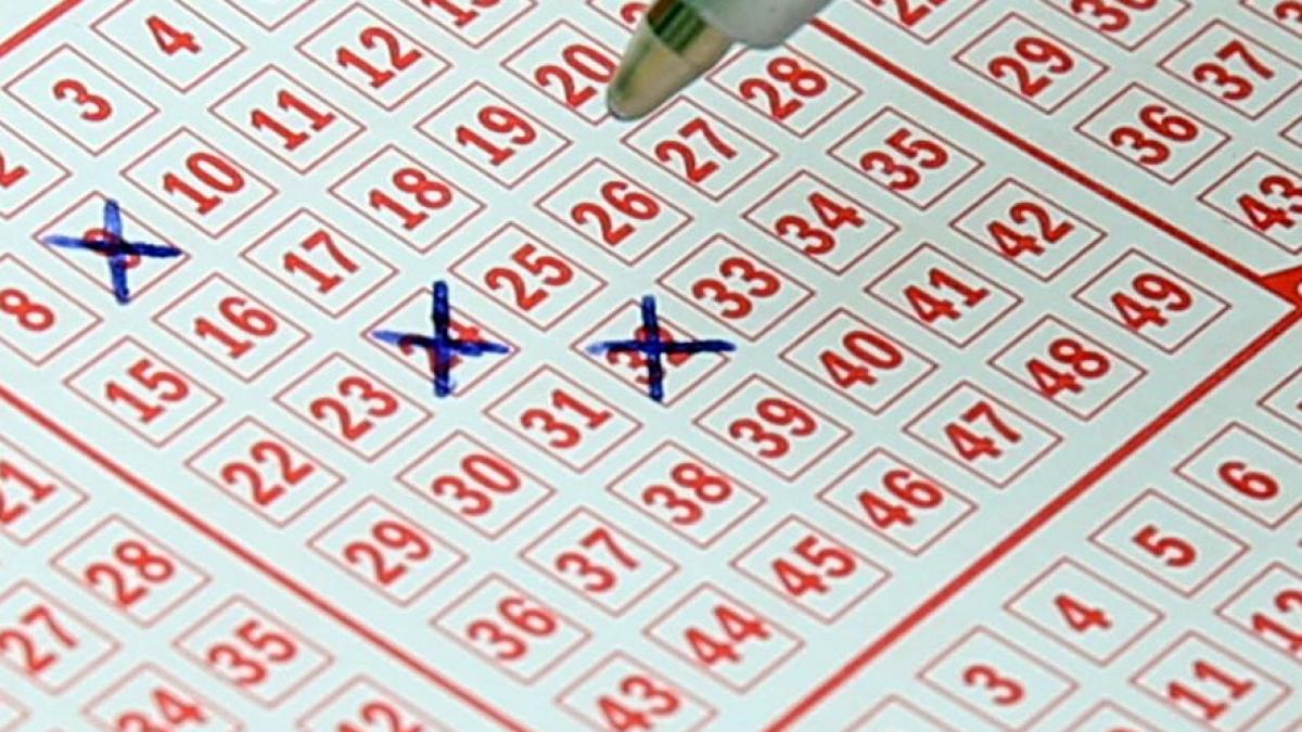 loto 6 49 numere castig report