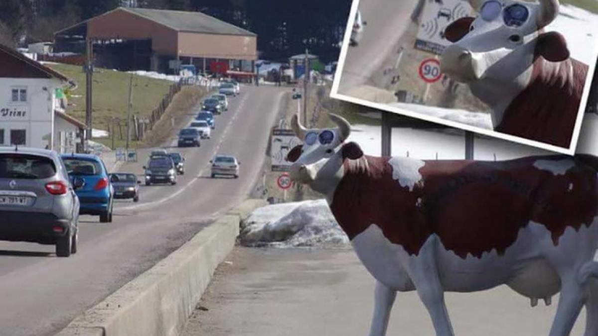 camere radar camuflate