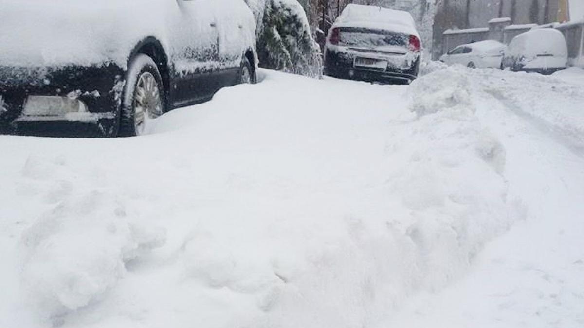 cum sa te razbuni pe vecinii care nu ies la deszapezit video senzational