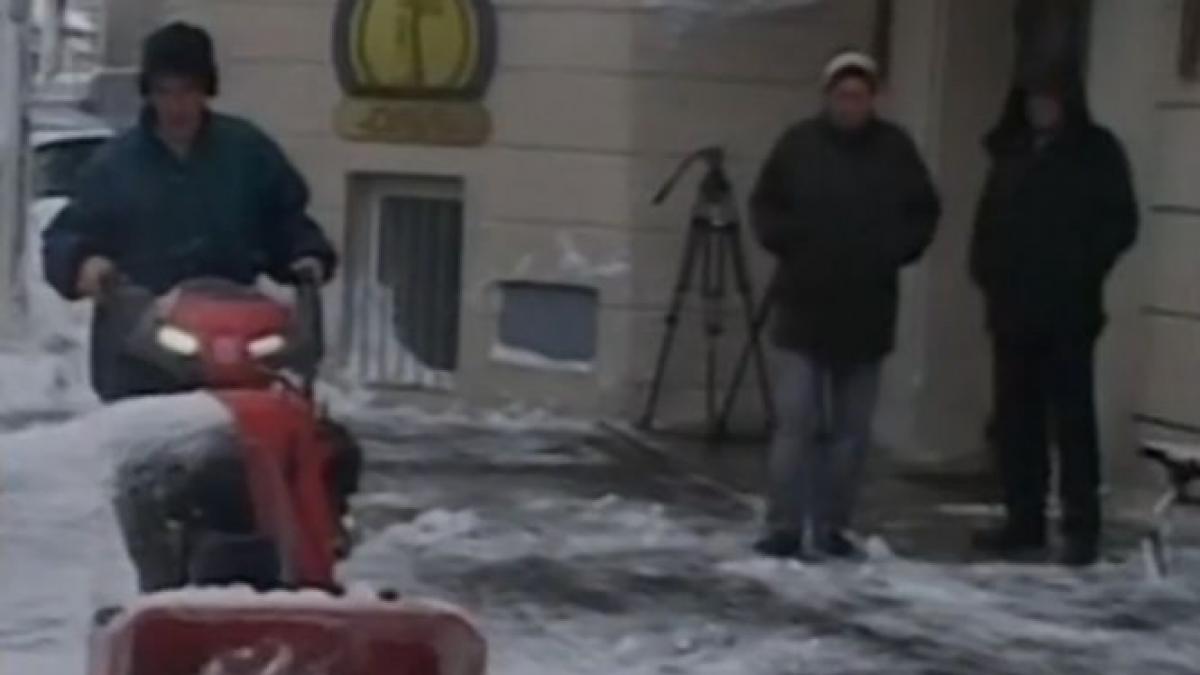 deszapezire sediul dna