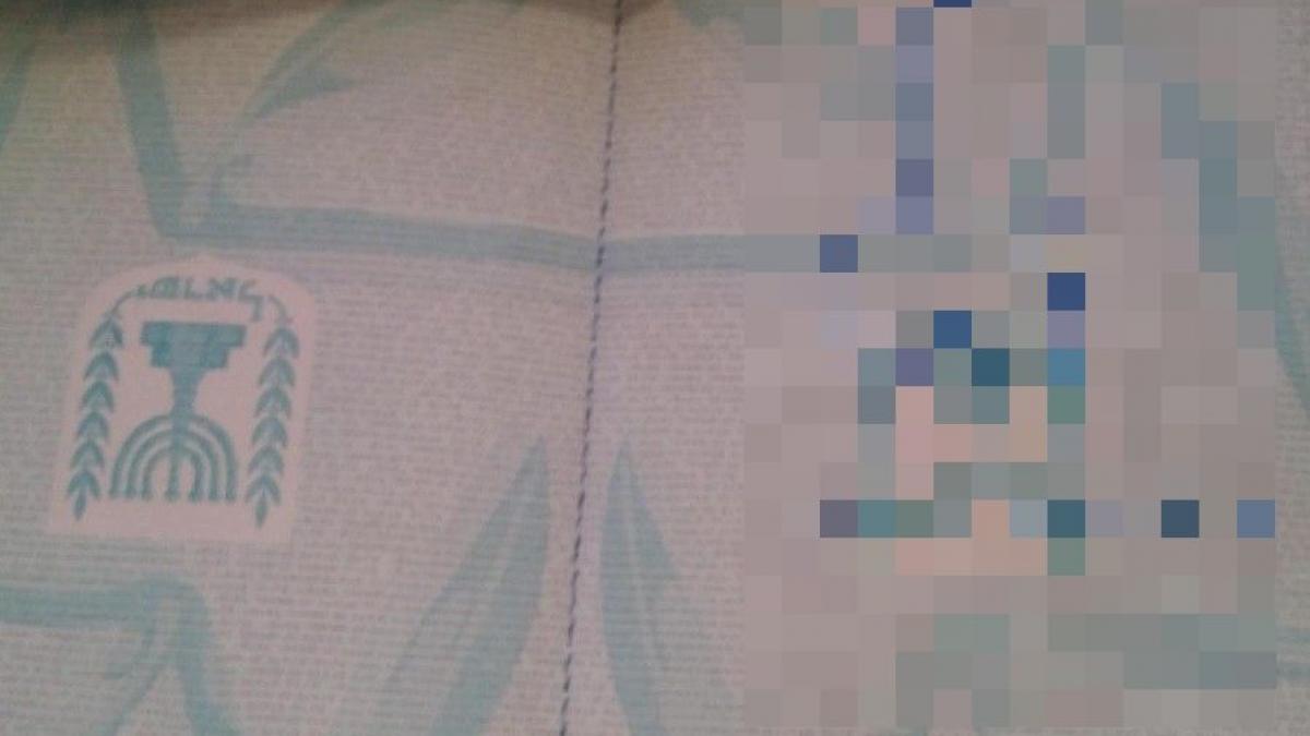 pasaport israelian desen vames