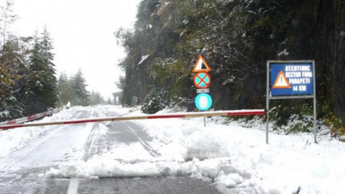 bolnavi ninsori senilate tulcea