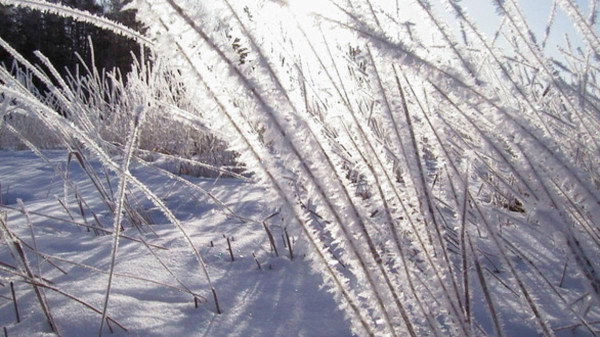 ce drepturi au angajatii in caz de temperaturi extreme companiile risca amenzi mari
