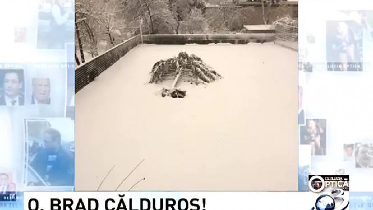 deziluzia optica felix rache basescu