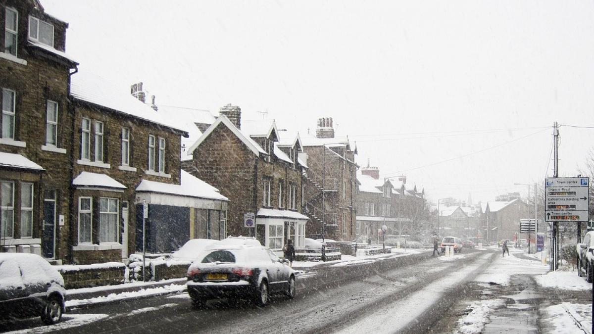 parbriz tehnici de supravietuire masina