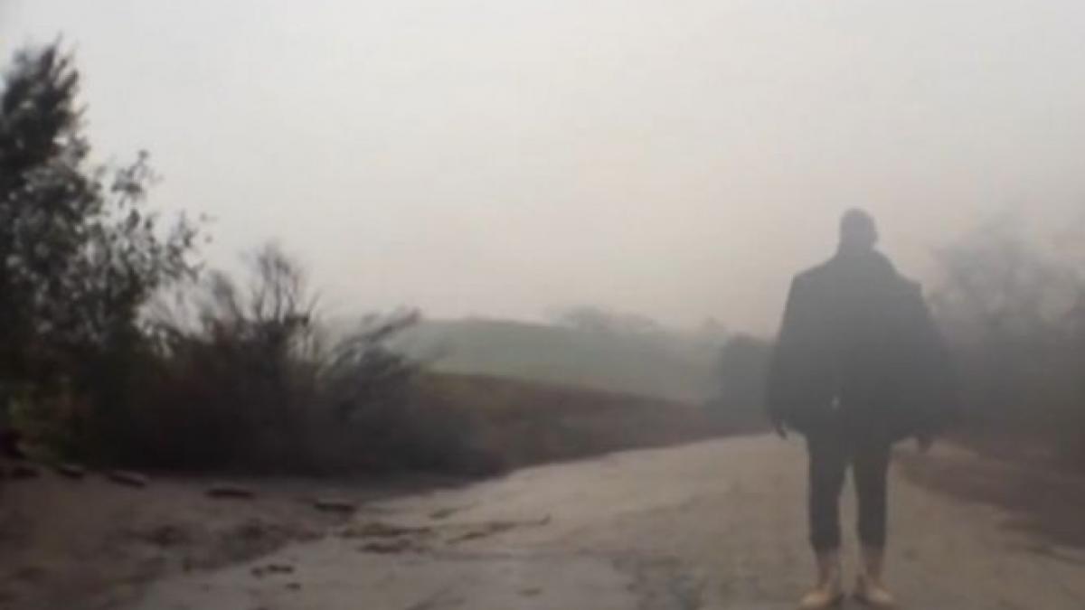 vedete bani inteligenta