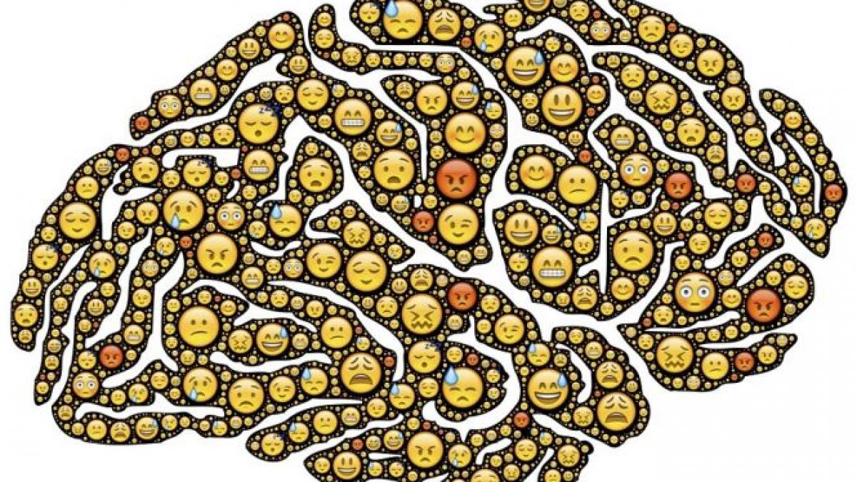 imbratisare perceptie creier