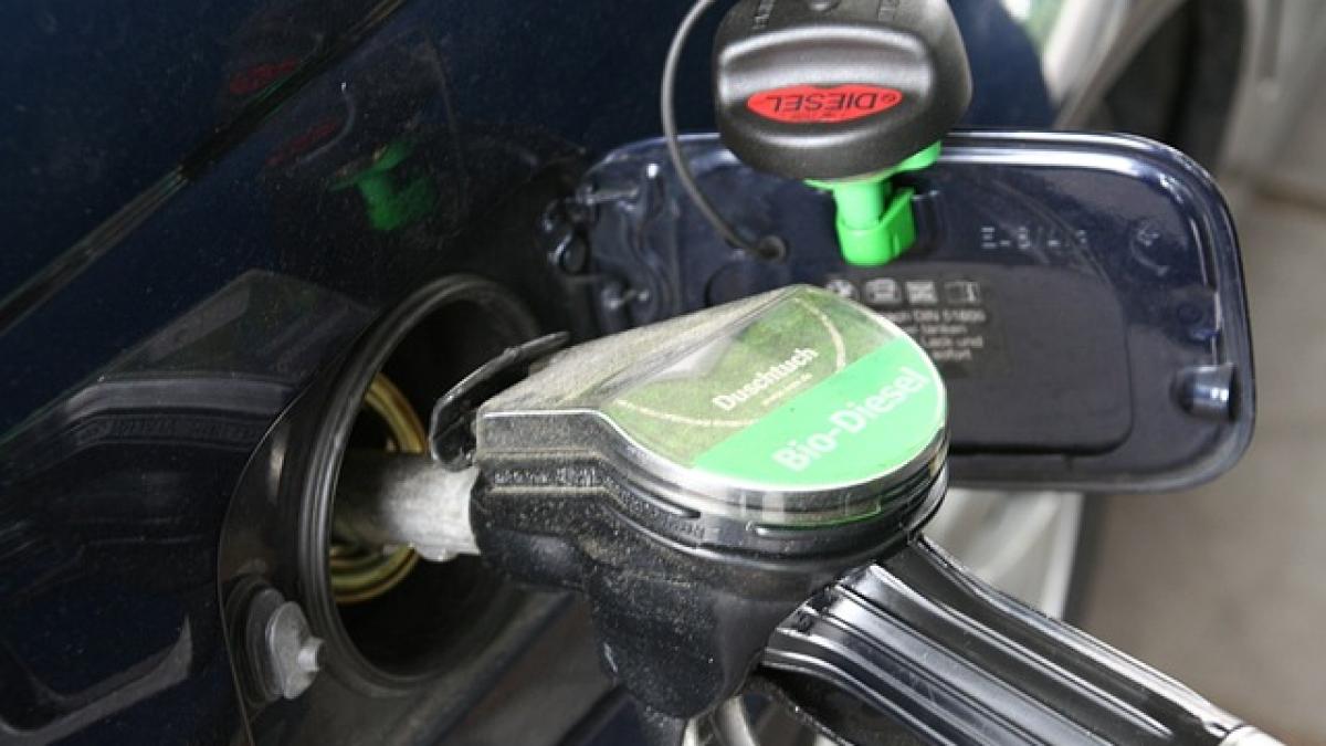 mit spulberat care e pretul fara taxe al carburantilor in romania in comparatie cu al altor tari