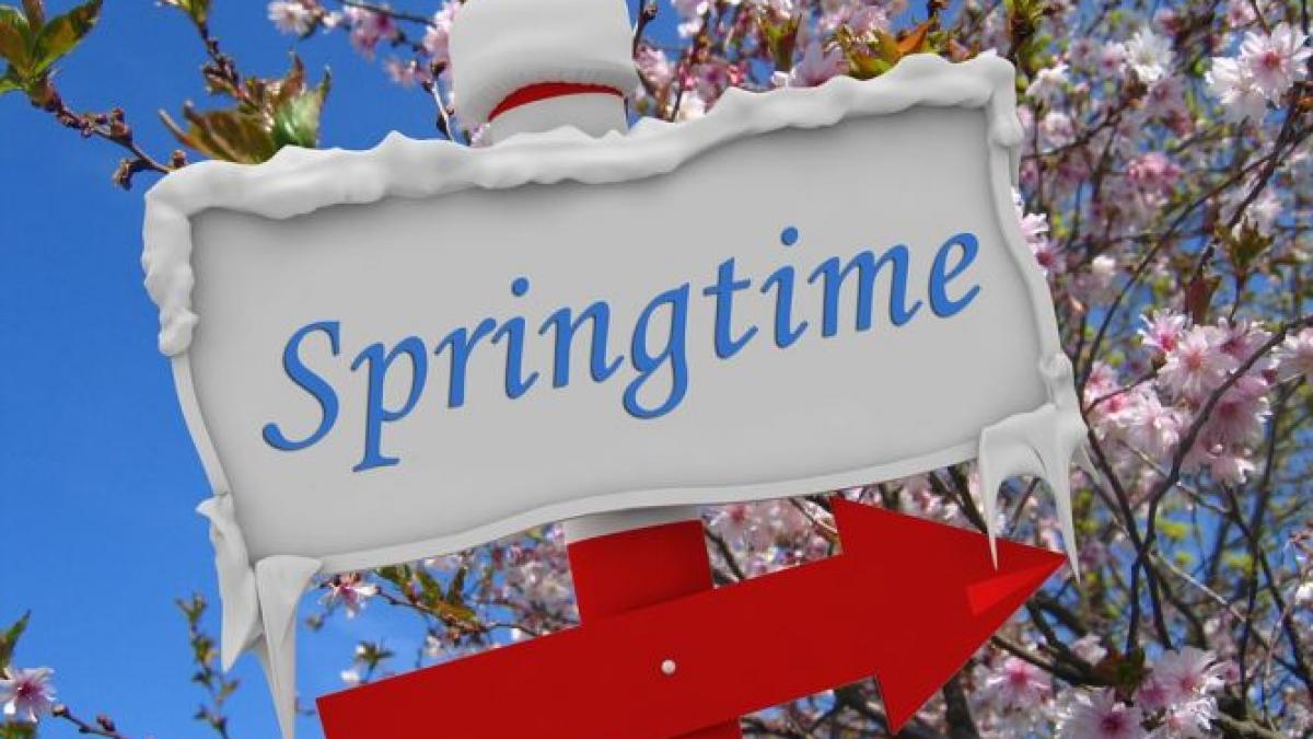 primavara in februarie