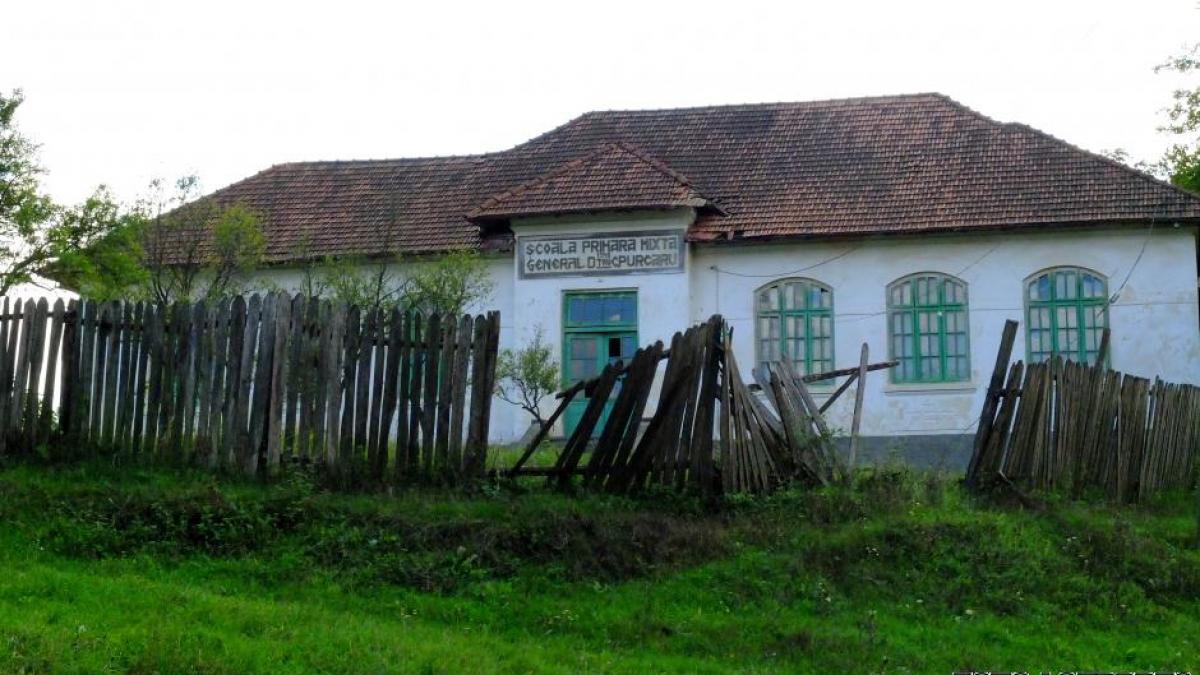 ancheta sinteza scoli renovate