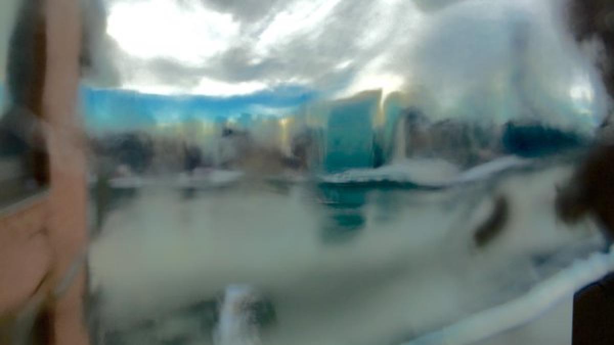 fotoghicitoare ce reprezinta aceasta imagine