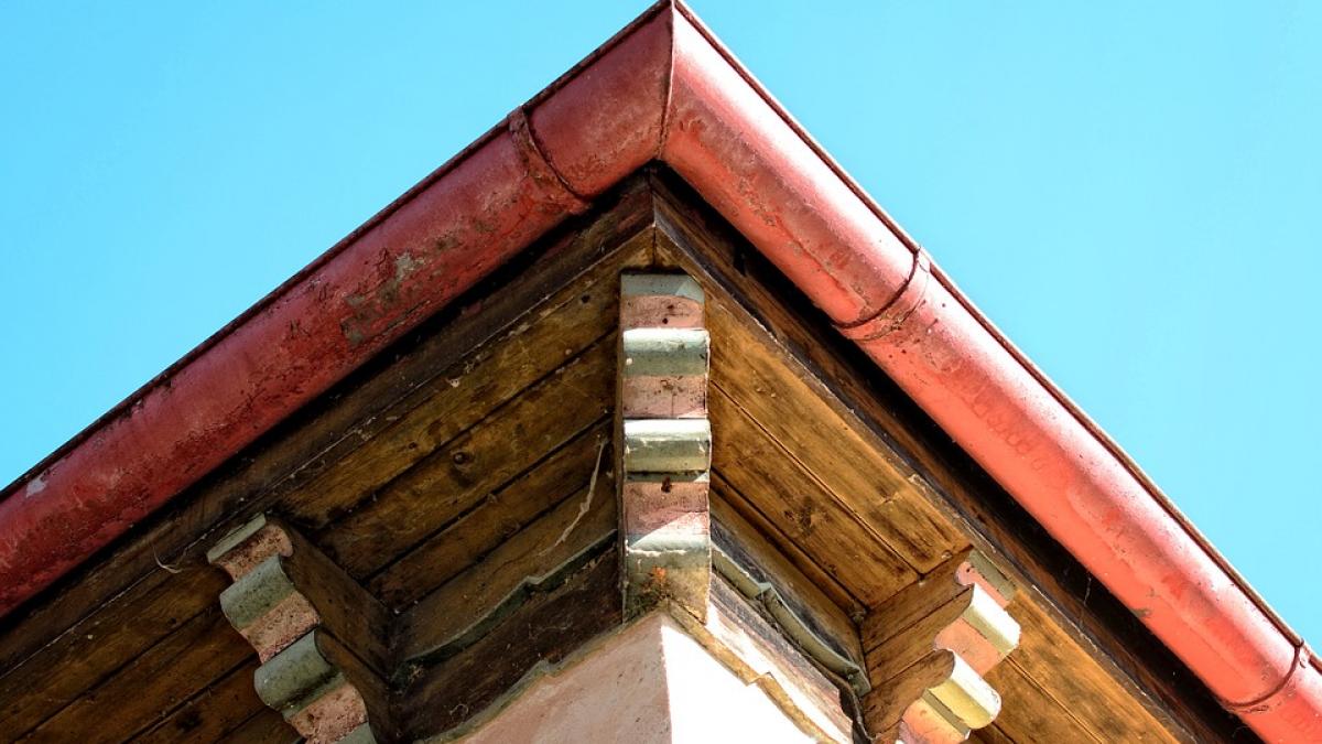 proxeneti bloc capitala amenintare inchisoare