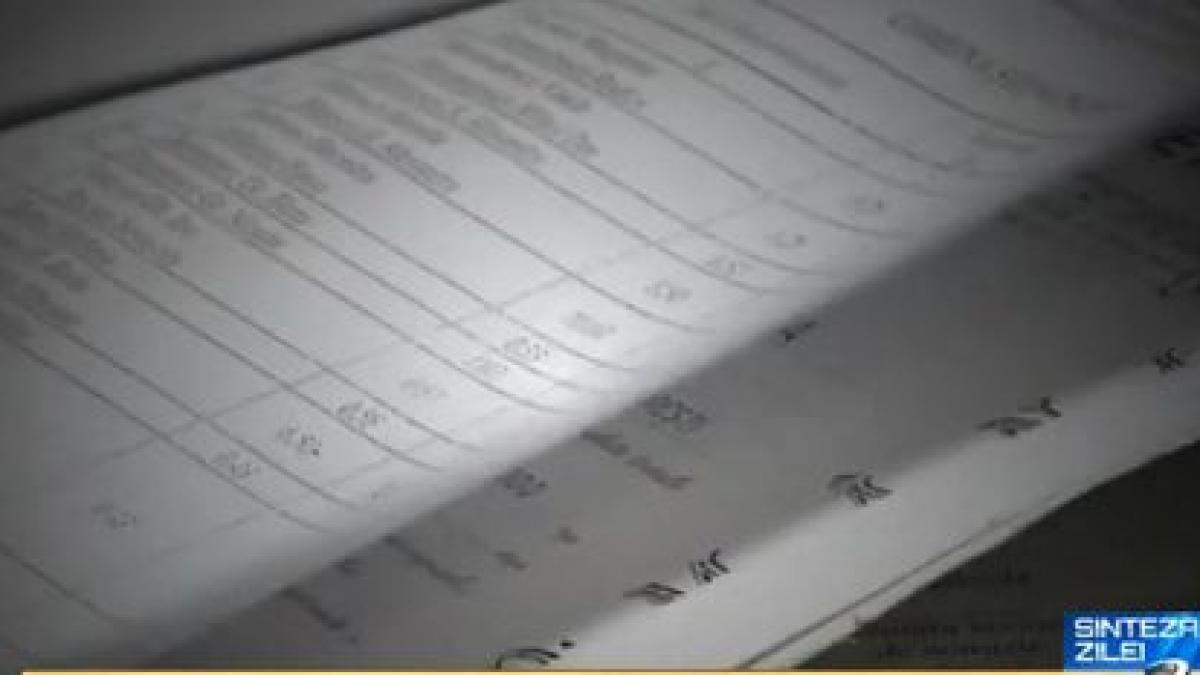 sinteza zilei ancheta georgeta toader