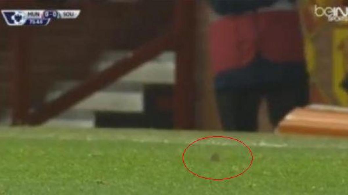 soarece teren meci manchester southampton