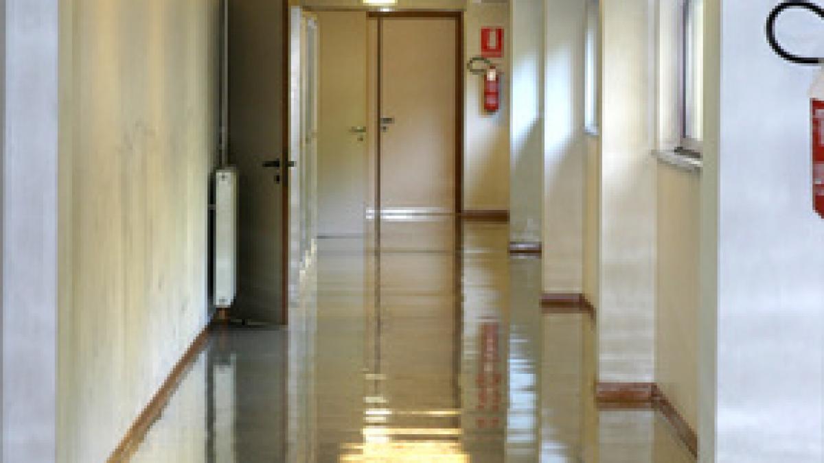 iasi eleve bataie scoala