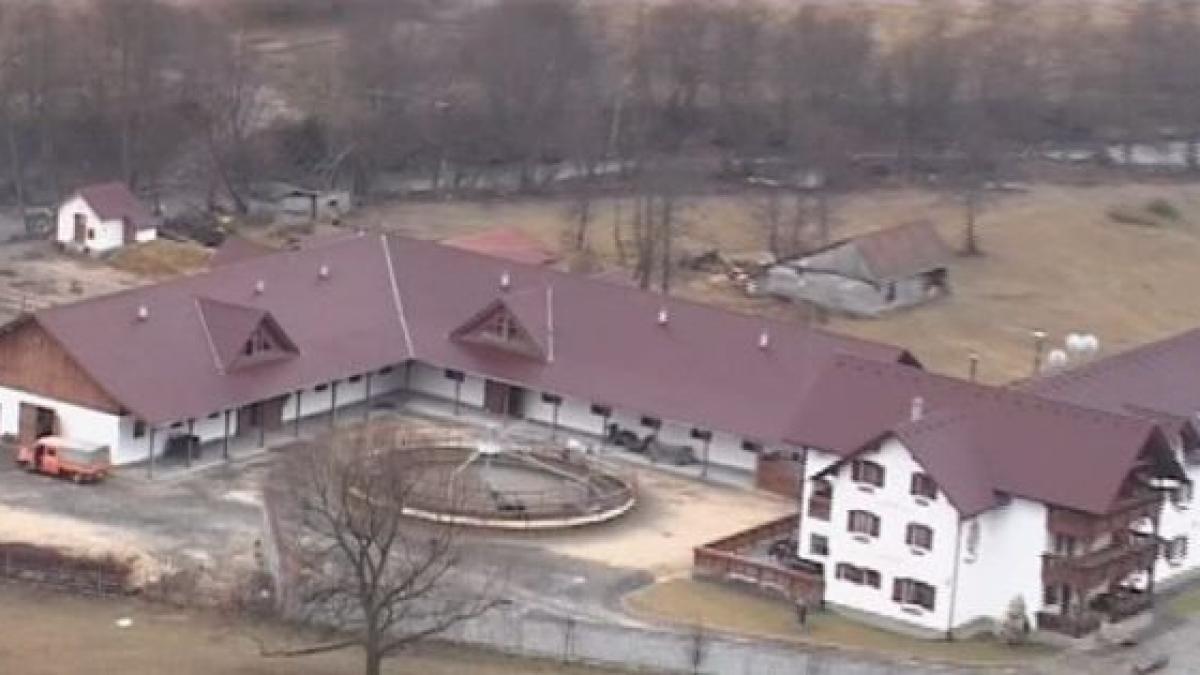 marcel butuza avere domeniu heliport