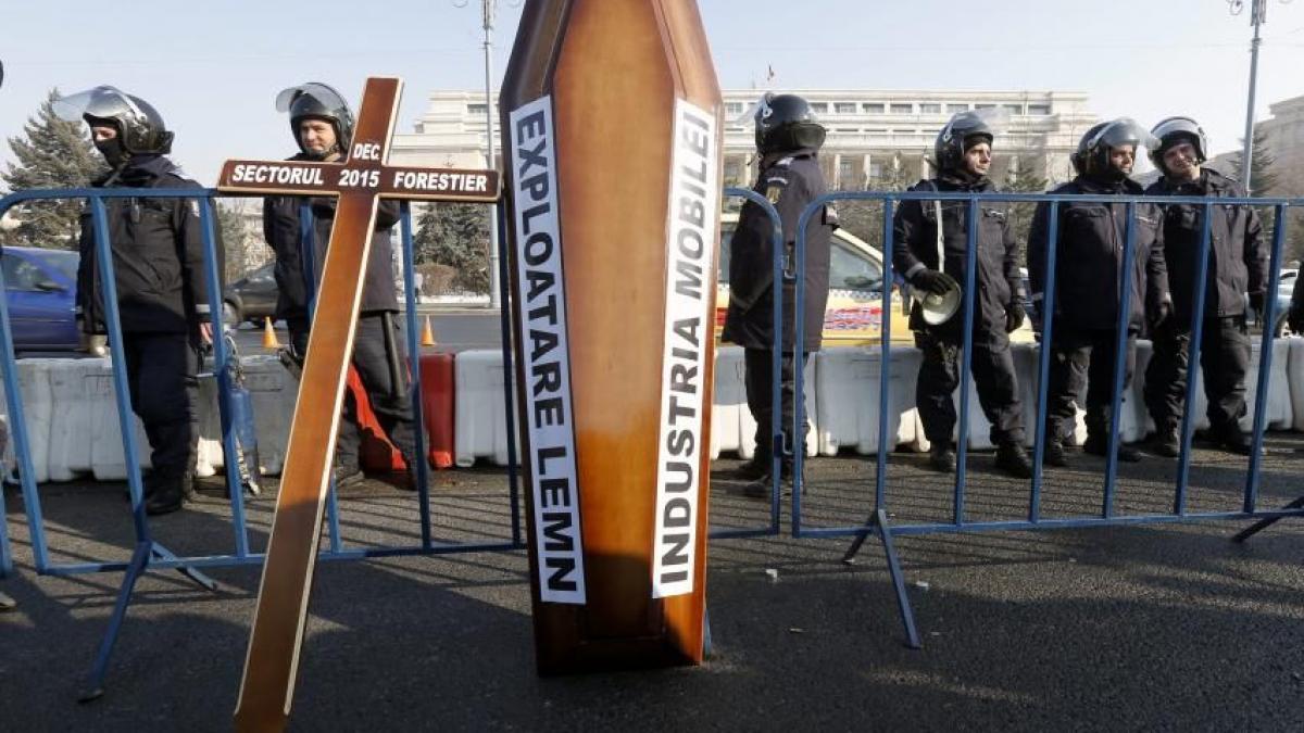 sectorul forestier din romania este blocat peste 80 000 de locuri de munca sunt in pericol