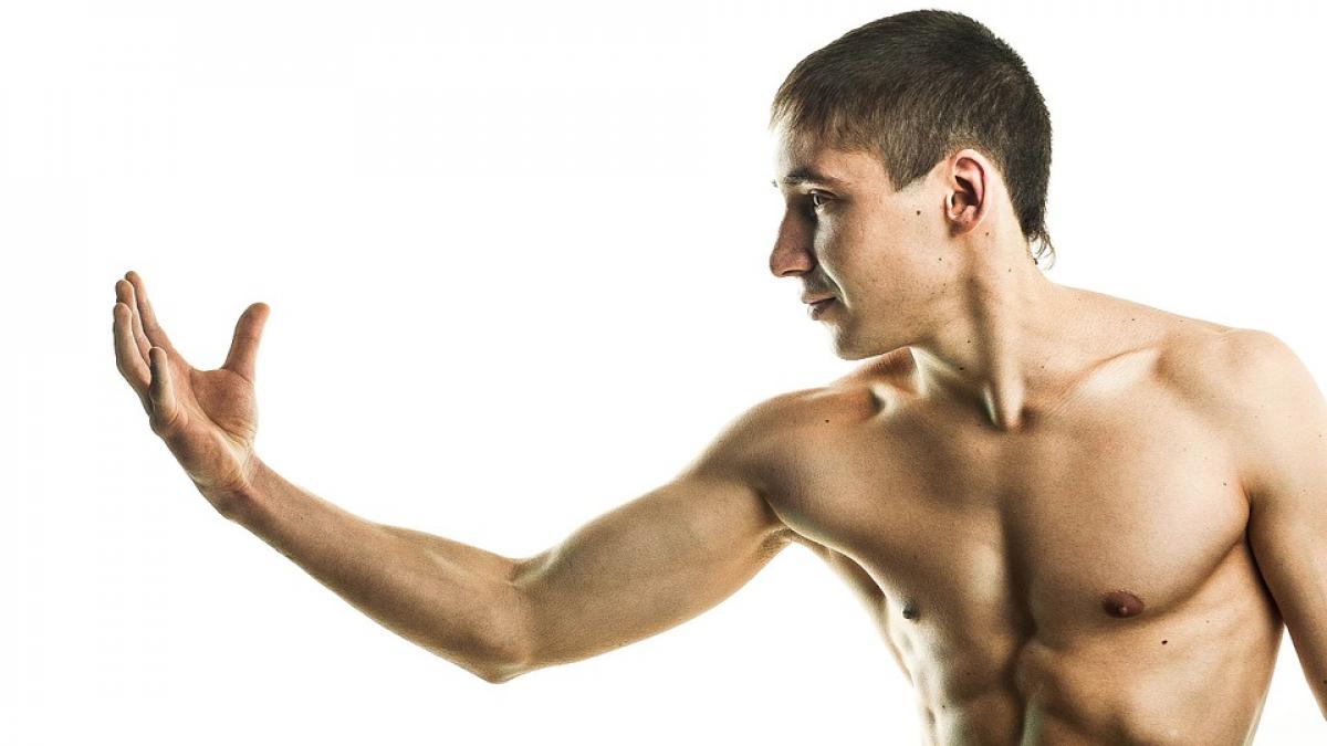 organism corp uman curiozitati