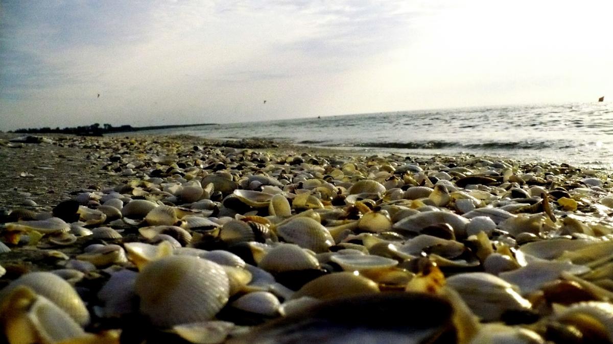 romania va avea 6 statiuni noi