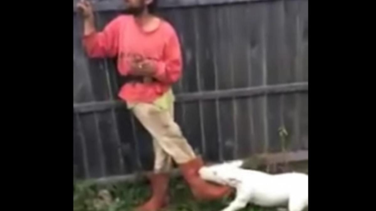 umor negru romanesc interpretarile la clipul video ba cristi fac furori pe internet