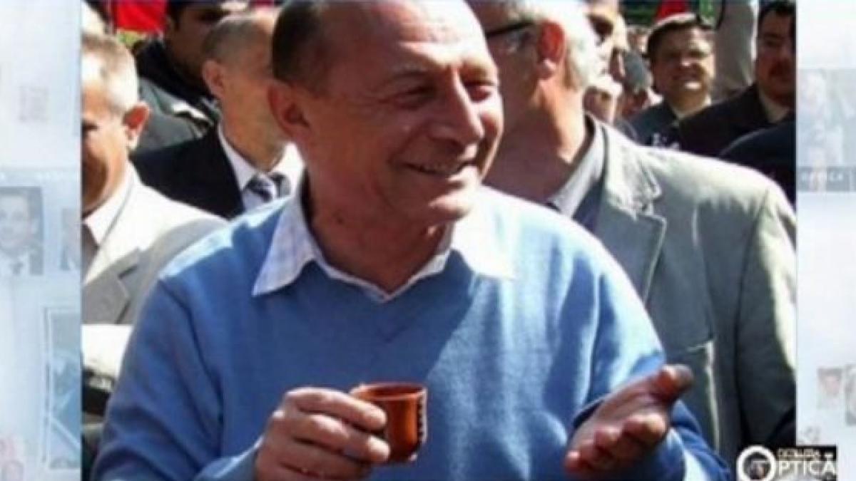 deziluzia optica imbratiseaza un copac