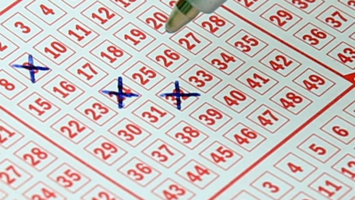 loto loto 6 din 49 report