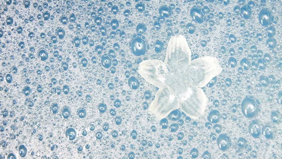 cum sa ti faci sampon natural din doua ingrediente