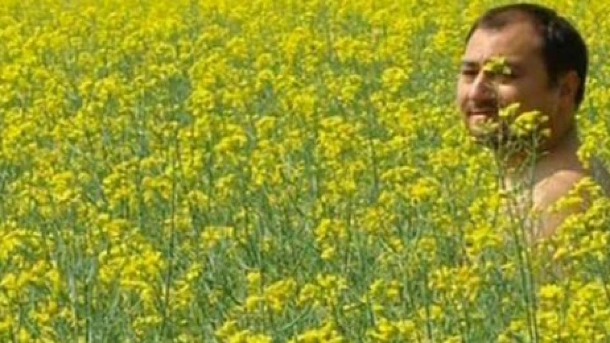 deziluzia optica mirel palada