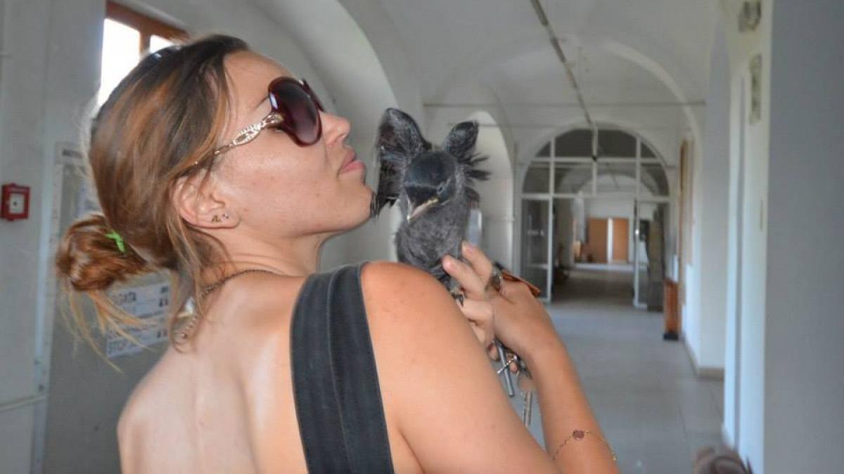 cum a ajuns o tanara pictorita din timisoara salvatoare de pasari