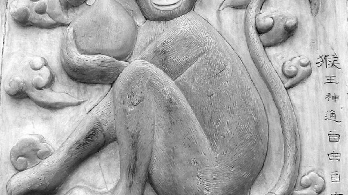 maimuta de foc horoscop zodiac