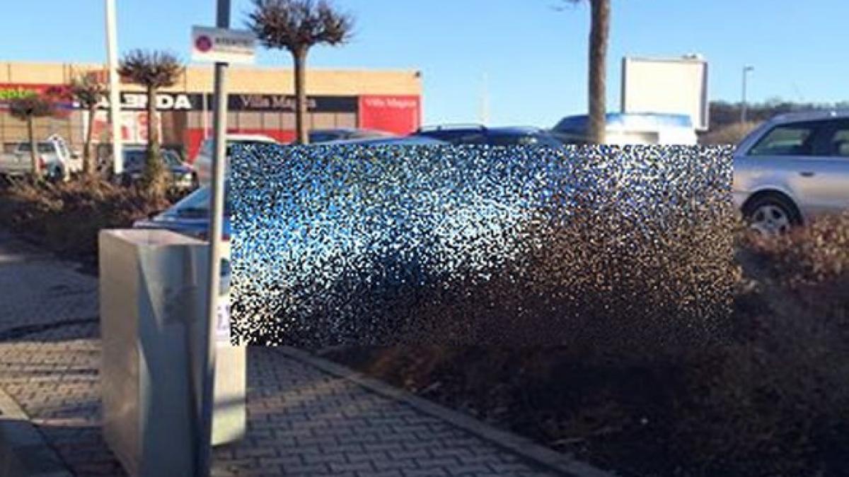 cum nu se parcheaza masina la supermaket toti vor sa parcheze lipiti de usa de la intrare