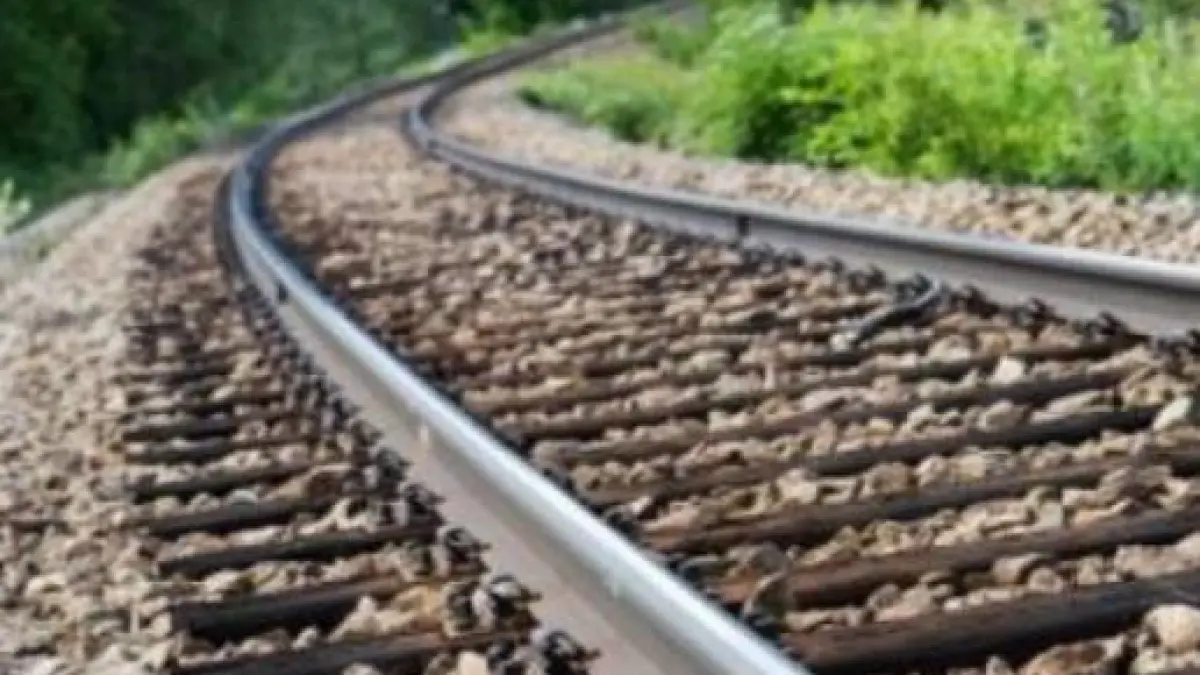 tren india selfie
