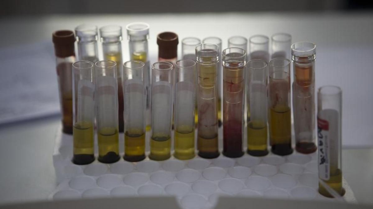 alerta medicala in romania doi romani suspecti de zika la brasov